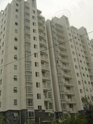 社区实景