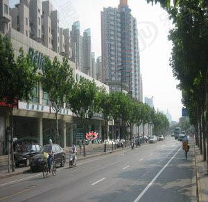 社区实景