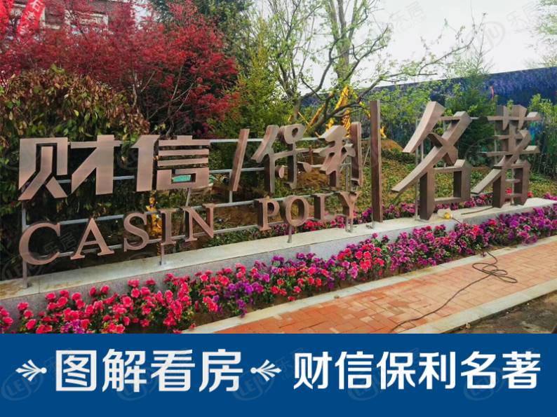 财信保利名著 图解看房