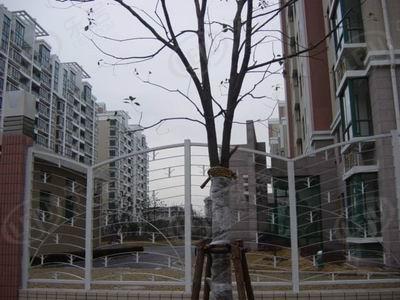 社区实景