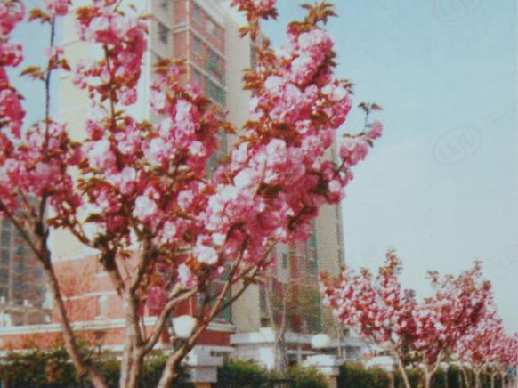 社区实景
