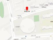 保利达大象