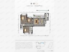 城投置地梧桐博雅C1户型户型图