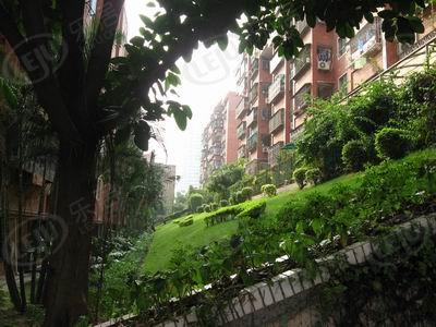 社区实景