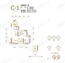 万科金域缇香C-1 (不含二楼) 两房两厅一卫户型图