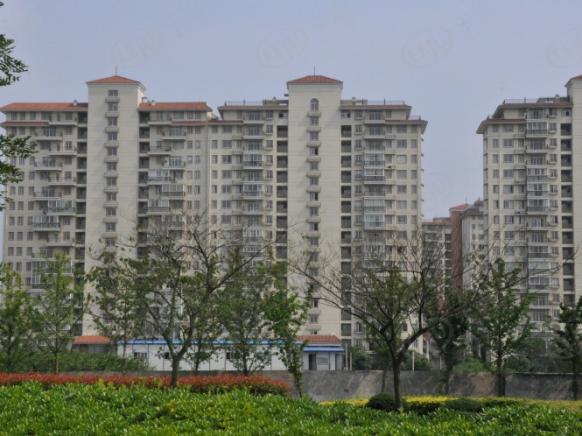 社区实景