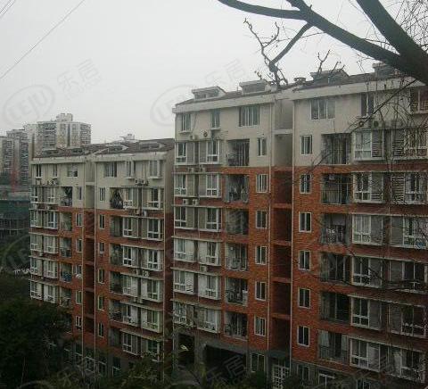 社区实景