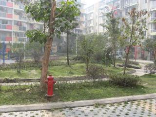 十里彩云间