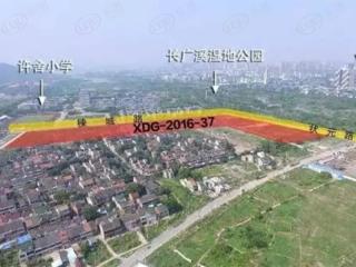 信义许舍地块