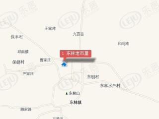 东林老市里