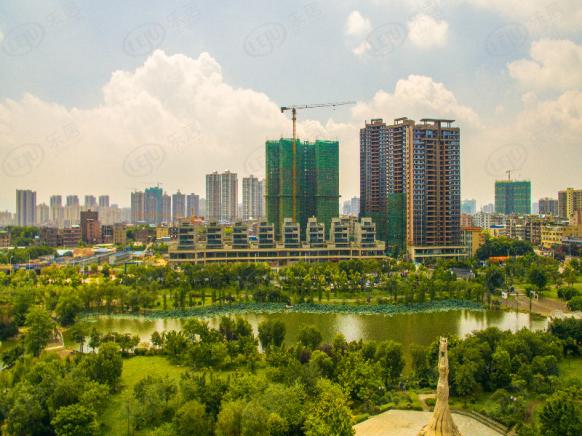 社区实景
