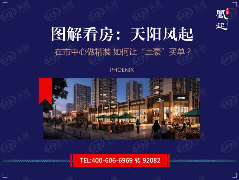 天阳凤起 图解看房