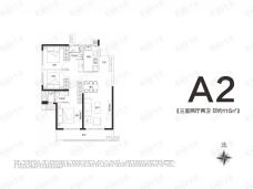 万科民安江山府A2户型户型图