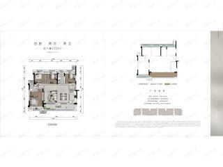 合川新鸥鹏巴川府套内100㎡户型图