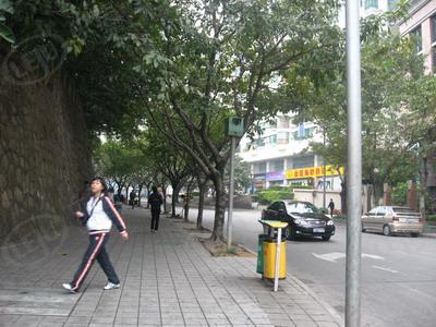 社区实景