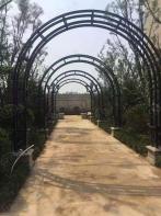 长九中心公园9号社区实景