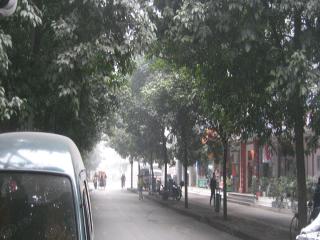 府河·月楿俊苑