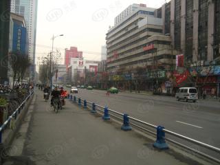 骡马市大世界