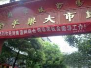 金苹果大市场