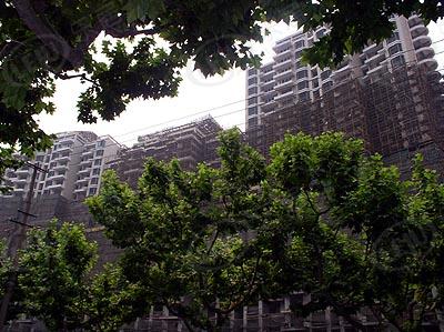 社区实景