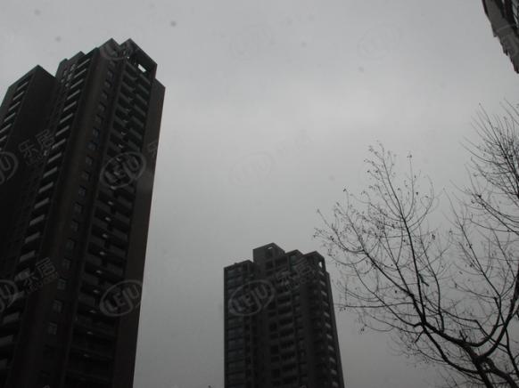 社区实景
