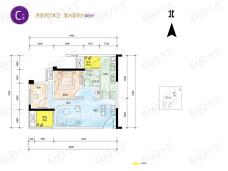 龙湖佰乐街C户型户型图