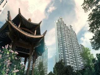 宁瑞水乡