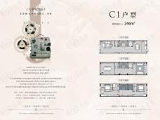 云溪苑商墅4室2厅4卫户型图