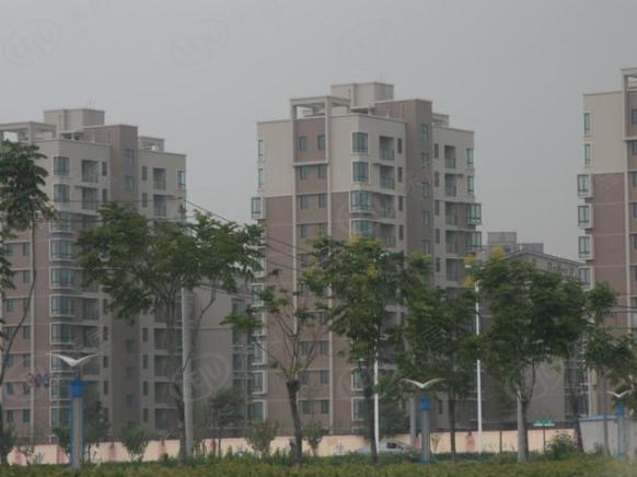 社区实景