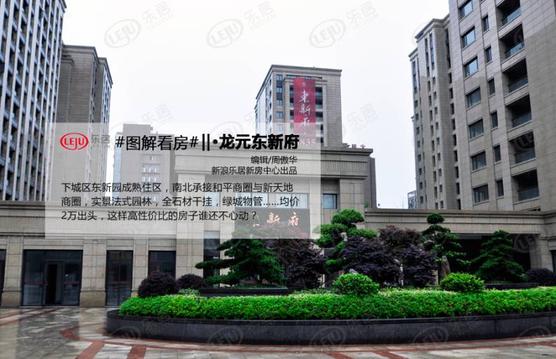 龙元东新府 图解看房