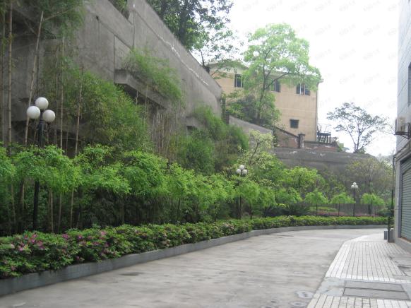 社区实景