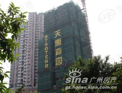 效果图