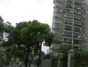 社区实景