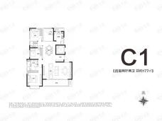 万科民安江山府C1户型户型图