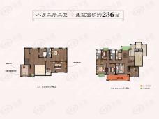 九溪源著236平米户型图