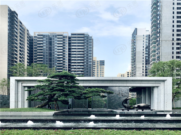 社区实景