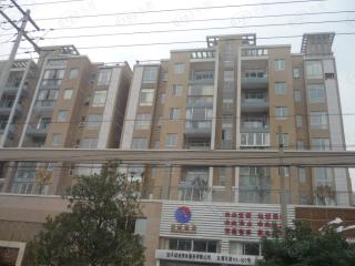 丁香花园