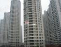 社区实景