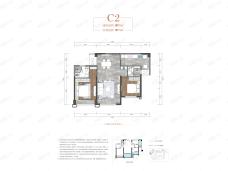 金沙宸宇公馆C2户型图