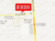 新湖国际