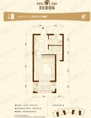 旗滨金銮国际1室1厅1卫户型图