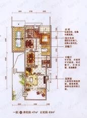 翔凤山水国际二期一层-联排别墅-354.88平方米户型图