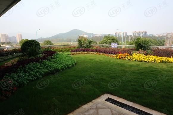 社区实景