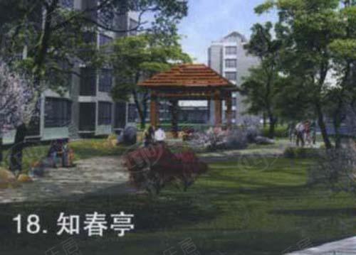 效果图