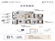 中南·春风南岸B1户型图