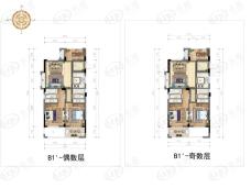 新天地金色时光B1\'户型户型图