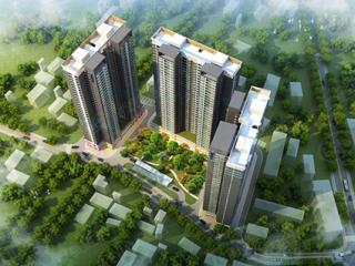 龙阁新景