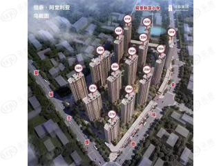 阿奎利亚