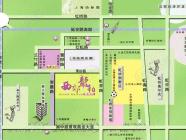 西郊龙柏