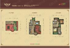 国光纳帕谷D户型户型图